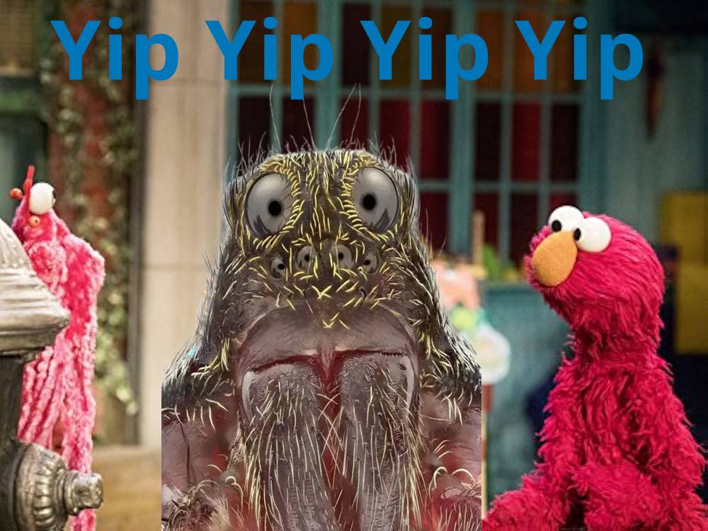 Yip Yip Yip Yip (Sesame Street Martians)