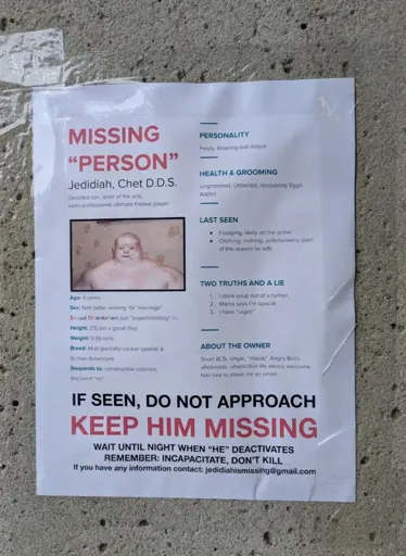 missing "person" Jedidiah, Chet D.D.S. missing poster