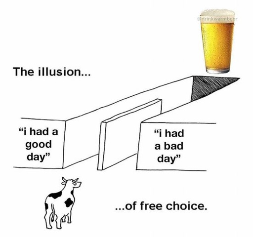 the illusion of choice. cow with two paths ahead. one says.good day. the other says.nad day. both paths lead to beer